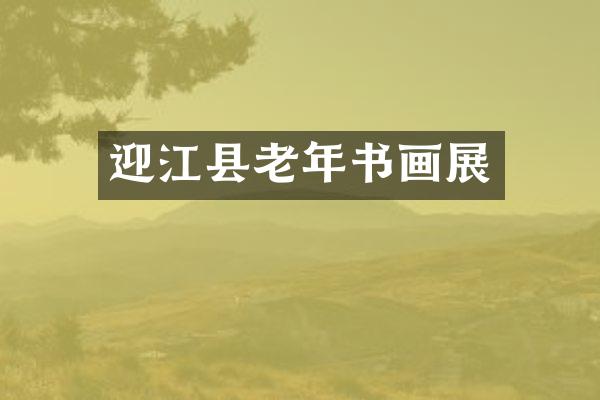迎江县老年书画展