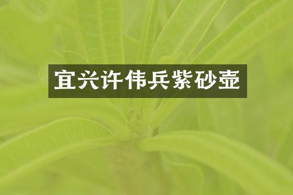 宜兴许伟兵紫砂壶