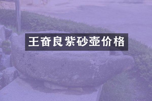 王奋良紫砂壶价格