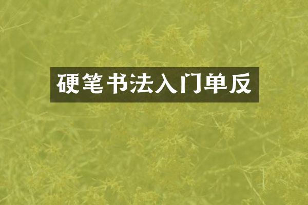 硬笔书法入门单反