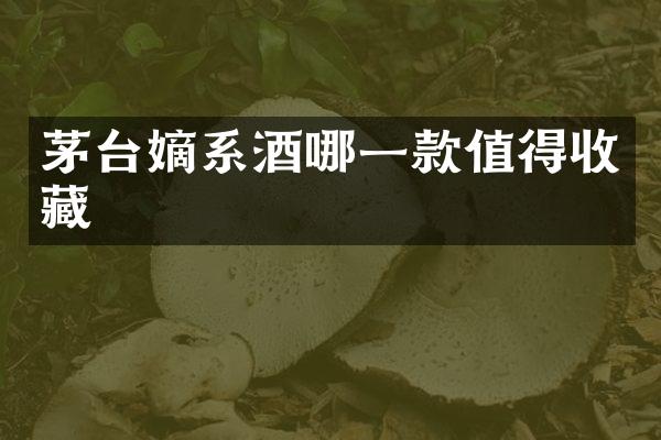 茅台嫡系酒哪一款值得收藏