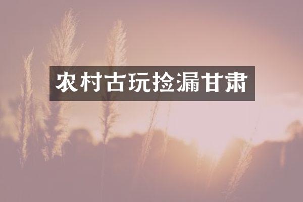 农村古玩捡漏甘肃