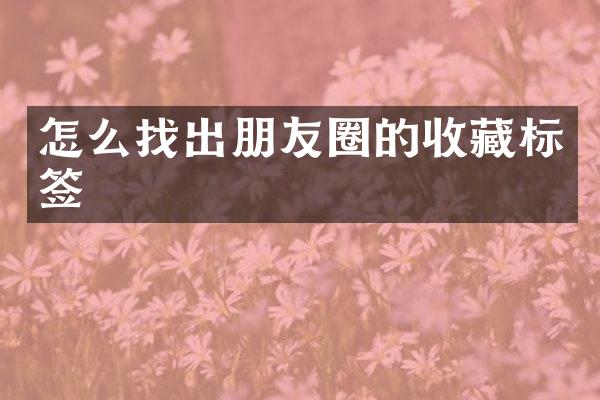 怎么找出朋友圈的收藏标签