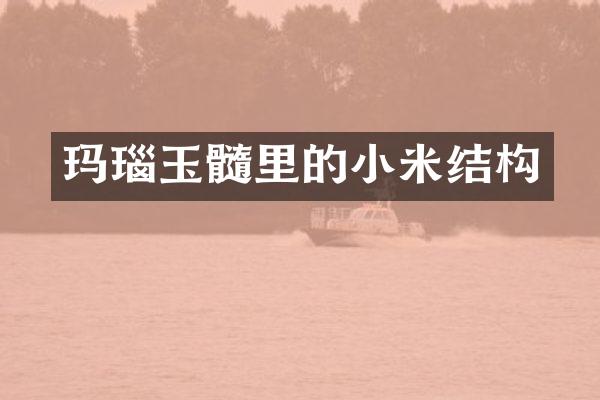 玛瑙玉髓里的小米结构