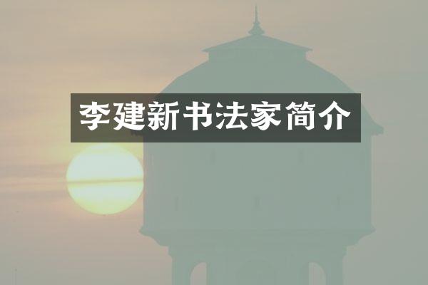 李建新书法家简介