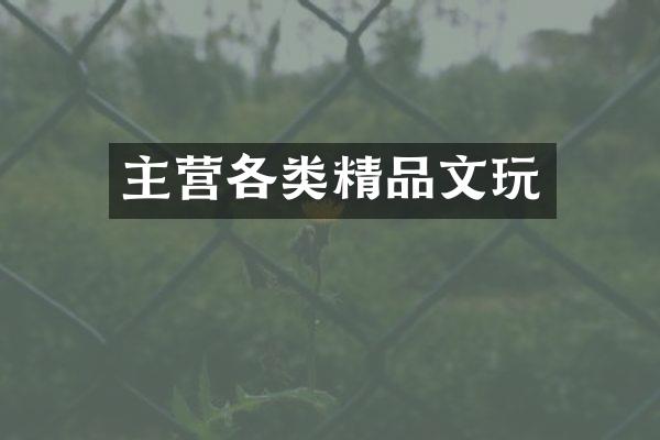 主营各类精品文玩
