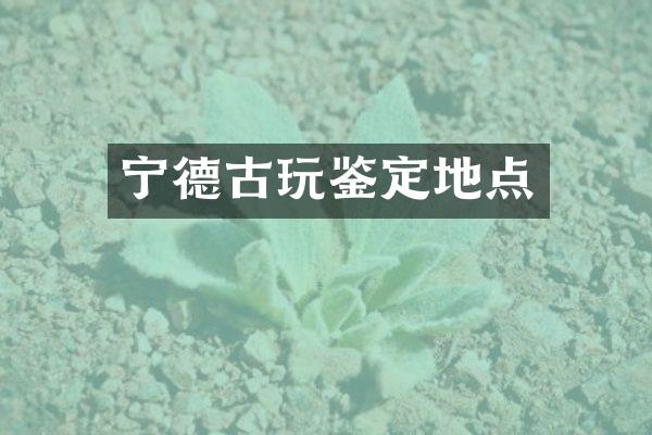 宁德古玩鉴定地点