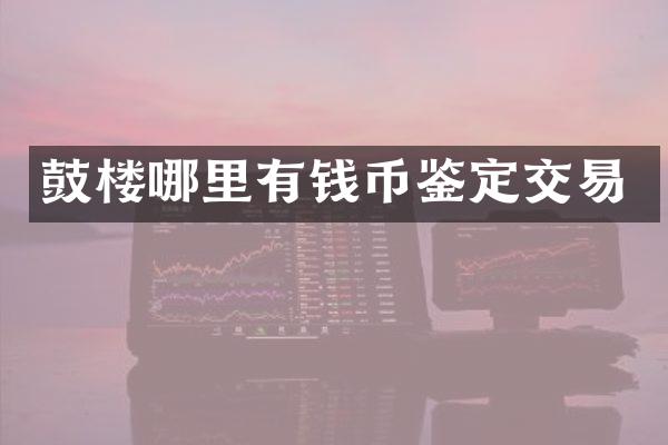 鼓楼哪里有钱币鉴定交易