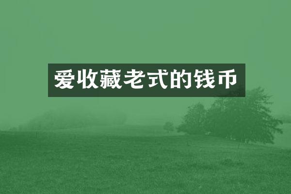 爱收藏老式的钱币