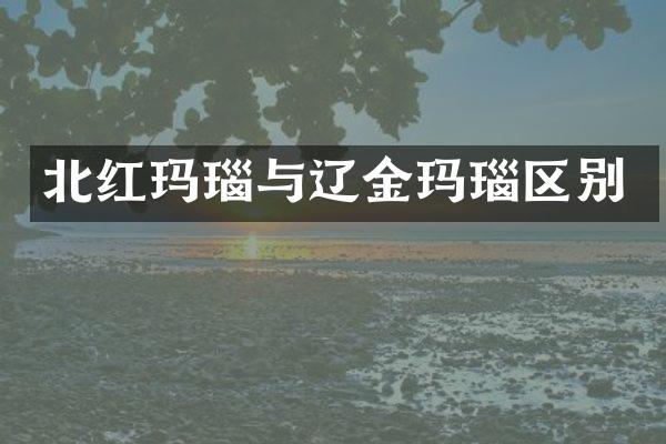 北红玛瑙与辽金玛瑙区别