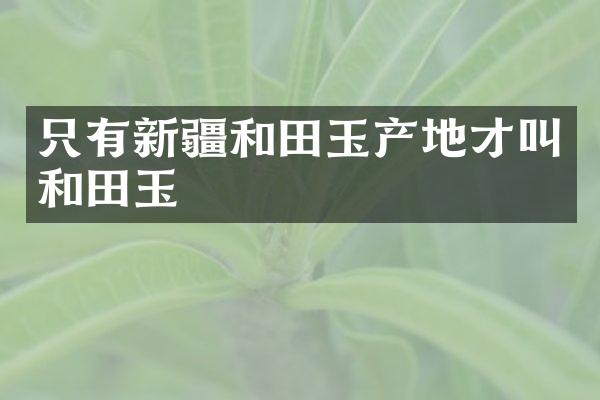 只有新疆和田玉产地才叫和田玉
