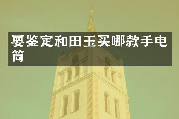 要鉴定和田玉买哪款手电筒