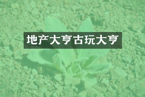 地产大亨古玩大亨