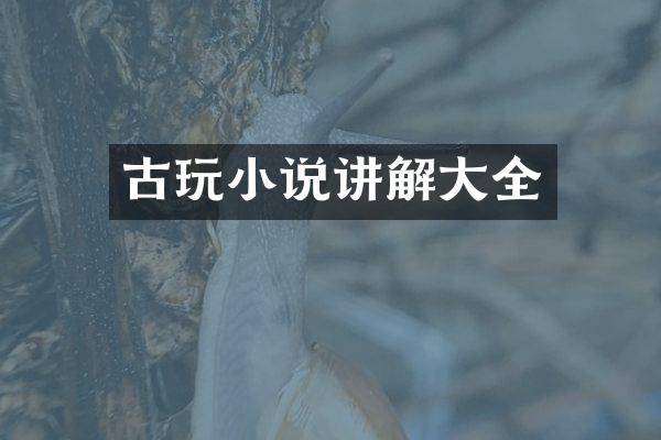 古玩小说讲解大全