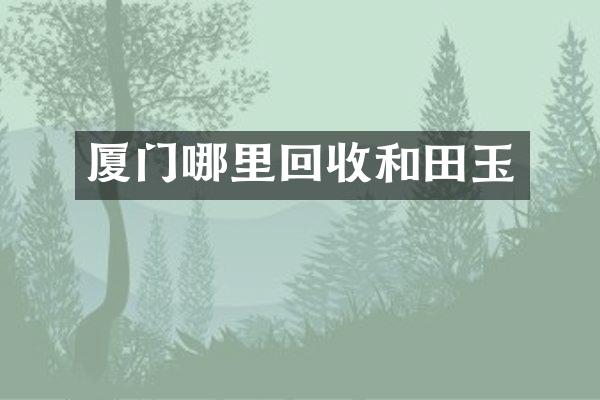 厦门哪里回收和田玉