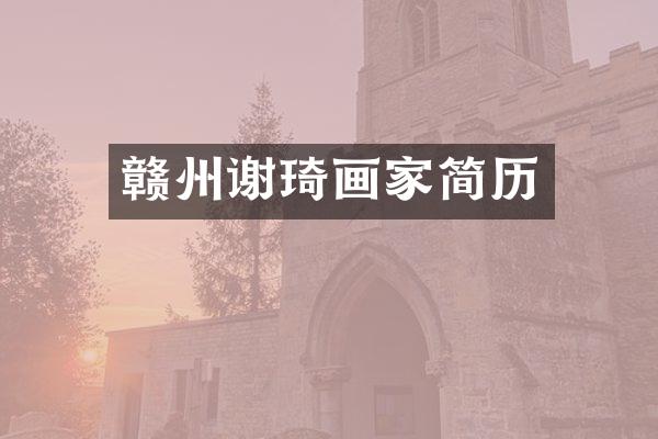 赣州谢琦画家简历