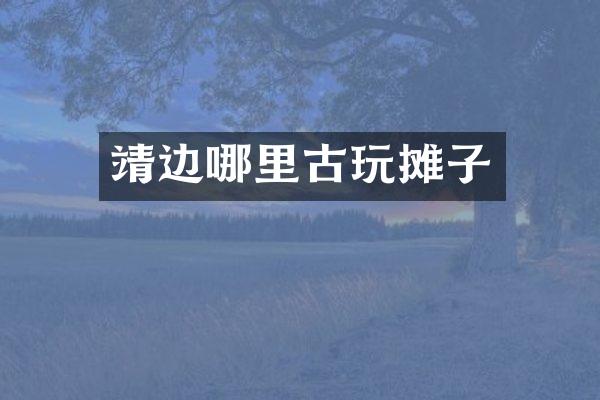 靖边哪里古玩摊子