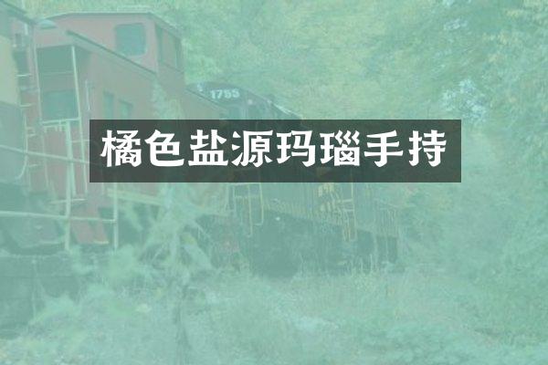 橘色盐源玛瑙手持