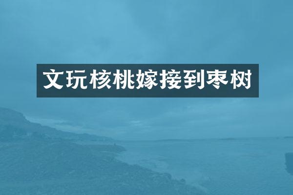 文玩核桃嫁接到枣树