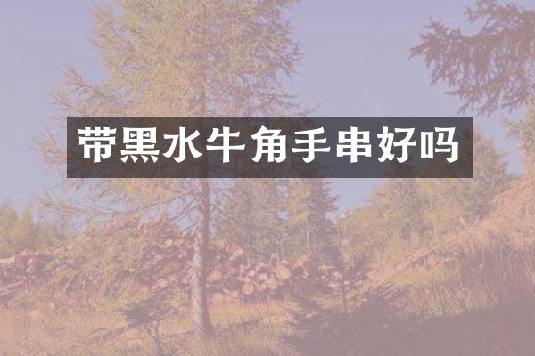 带黑水牛角手串好吗