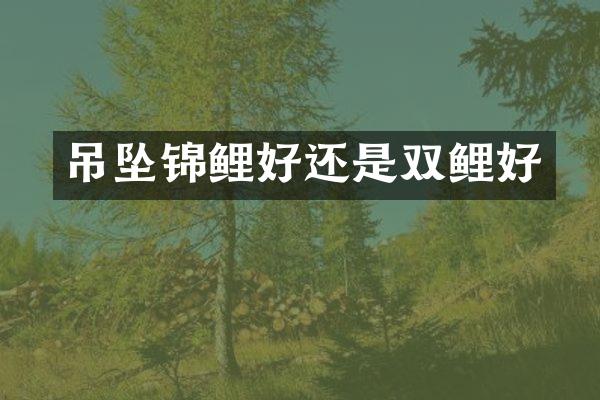 吊坠锦鲤好还是双鲤好