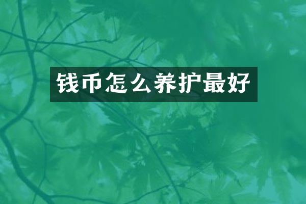 钱币怎么养护最好
