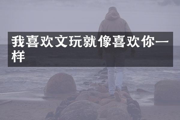我喜欢文玩就像喜欢你一样