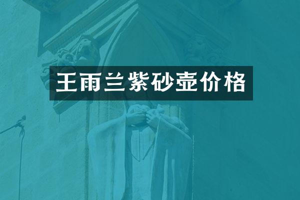 王雨兰紫砂壶价格