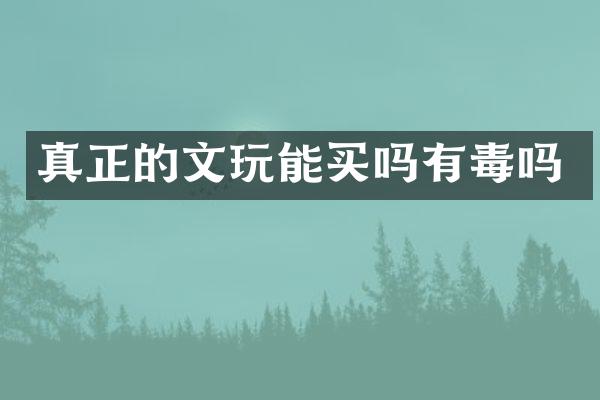 真正的文玩能买吗有毒吗