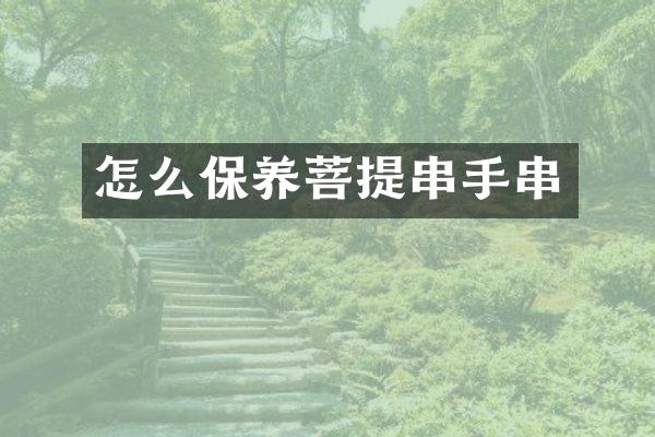 怎么保养菩提串手串