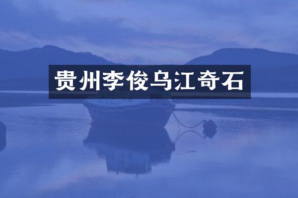 贵州李俊乌江奇石