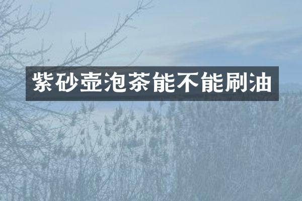 紫砂壶泡茶能不能刷油