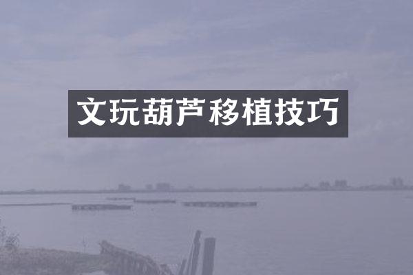 文玩葫芦移植技巧