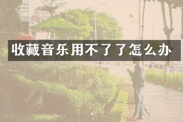 收藏音乐用不了了怎么办