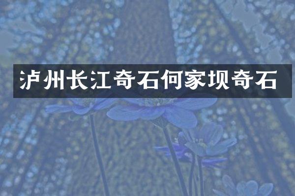 泸州长江奇石何家坝奇石