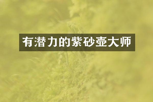 有潜力的紫砂壶大师