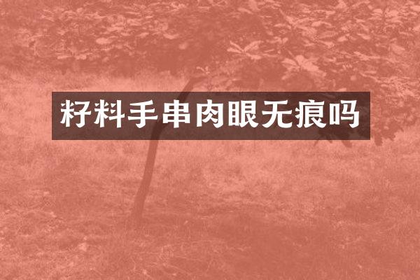 籽料手串肉眼无痕吗
