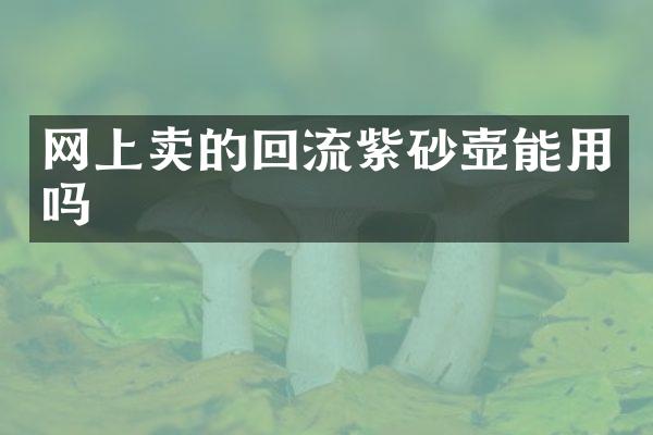 网上卖的回流紫砂壶能用吗