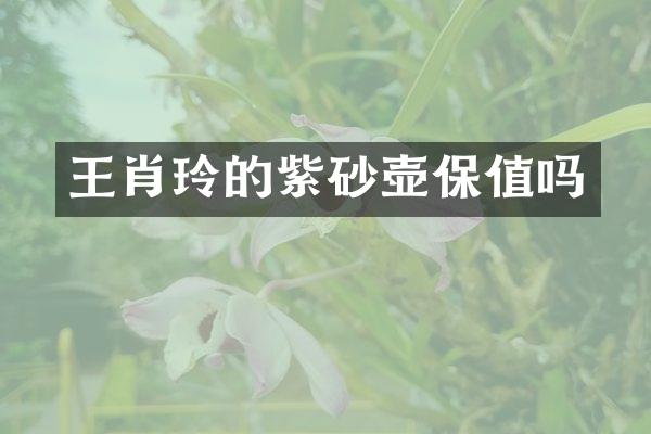 王肖玲的紫砂壶保值吗