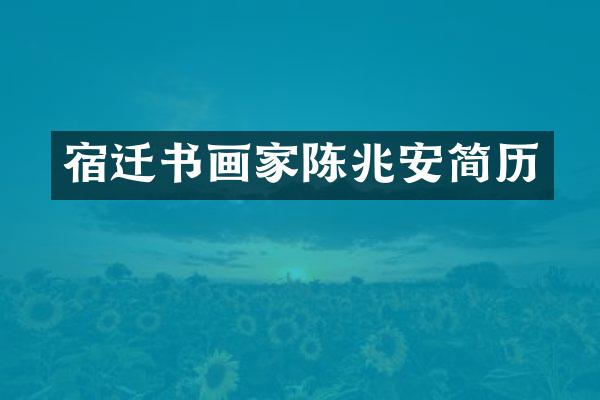 宿迁书画家陈兆安简历