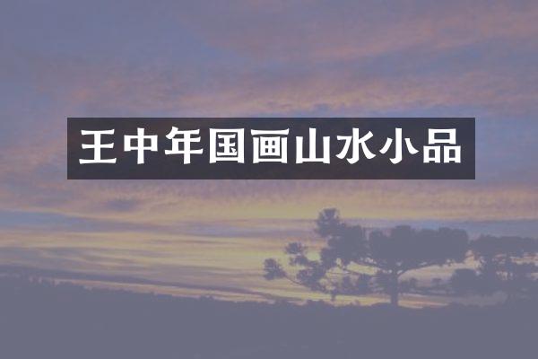 王中年国画山水小品
