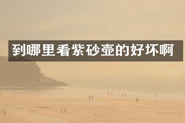 到哪里看紫砂壶的好坏啊