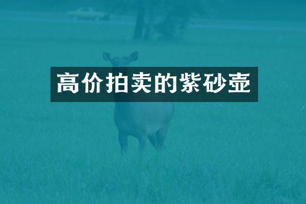 高价拍卖的紫砂壶