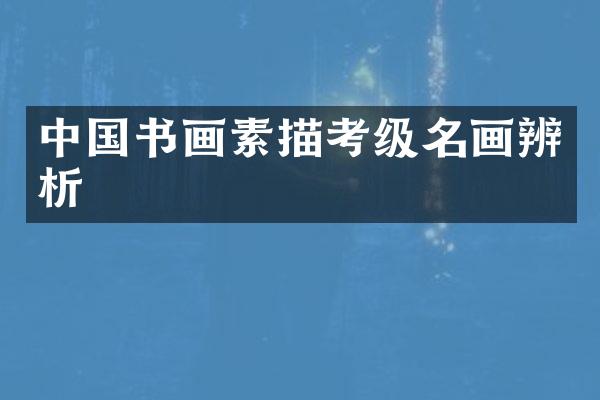中国书画素描考级名画辨析
