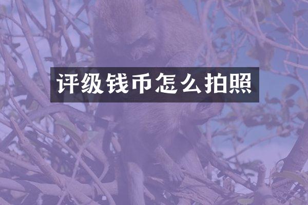 评级钱币怎么拍照
