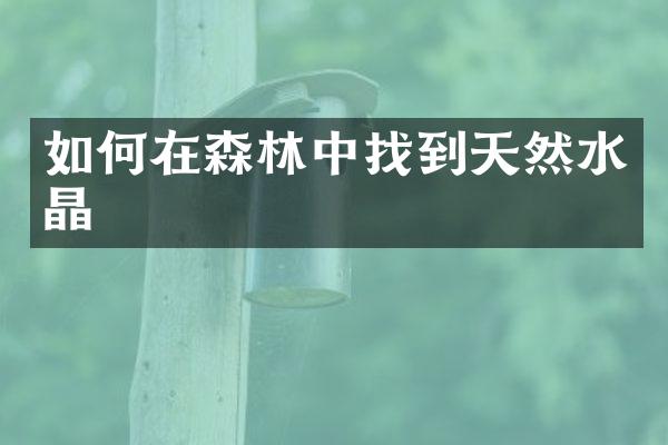 如何在森林中找到天然水晶