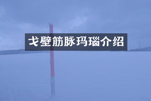 戈壁筋脉玛瑙介绍