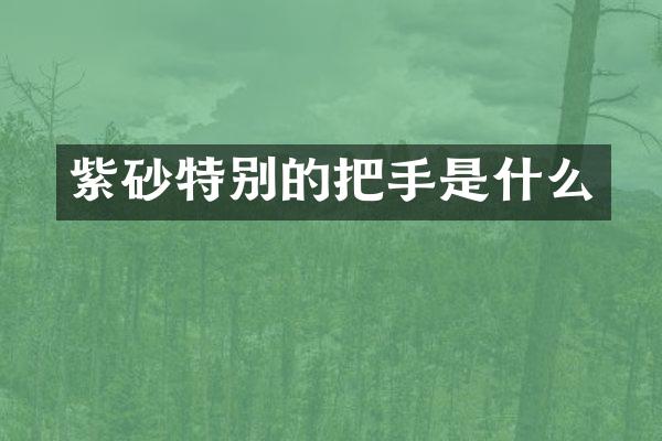 紫砂特别的把手是什么