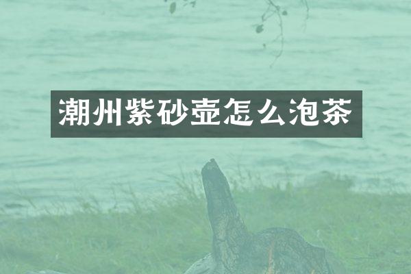 潮州紫砂壶怎么泡茶