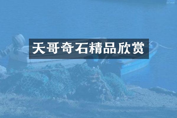 天哥奇石精品欣赏